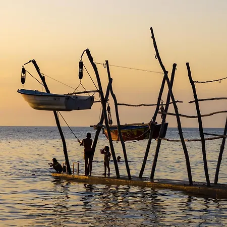 Homes In - Istrien 11908 Pansiyon *