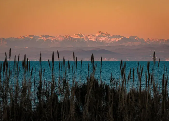 Homes In - Istrien 11908 Pansiyon *